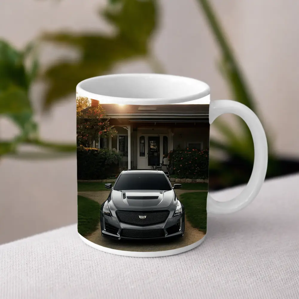 Cadillac CTS Gray Car Village Driveway – Mugs