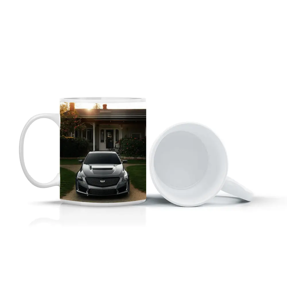 Cadillac CTS Gray Car Village Driveway – Mugs