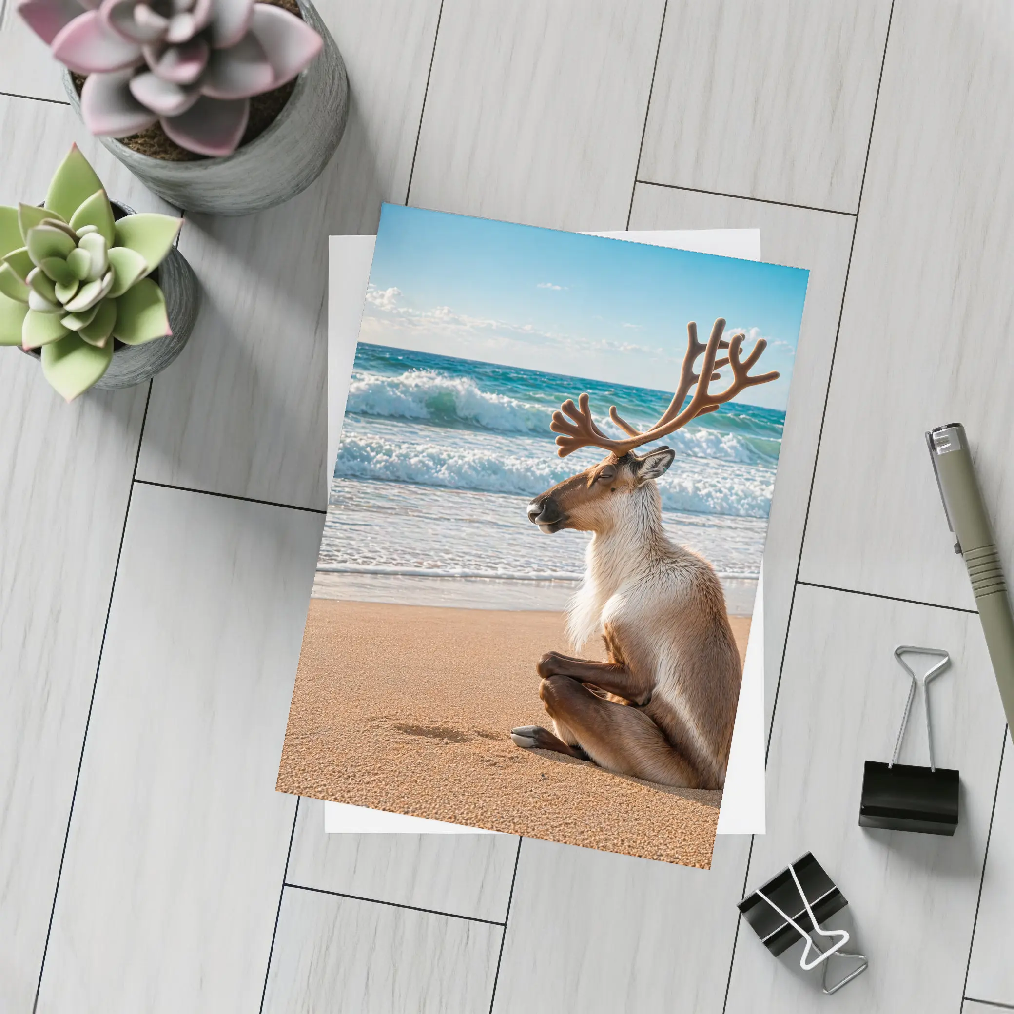 Caribou Sitting Peacefully on Sandy Beach – Postcards