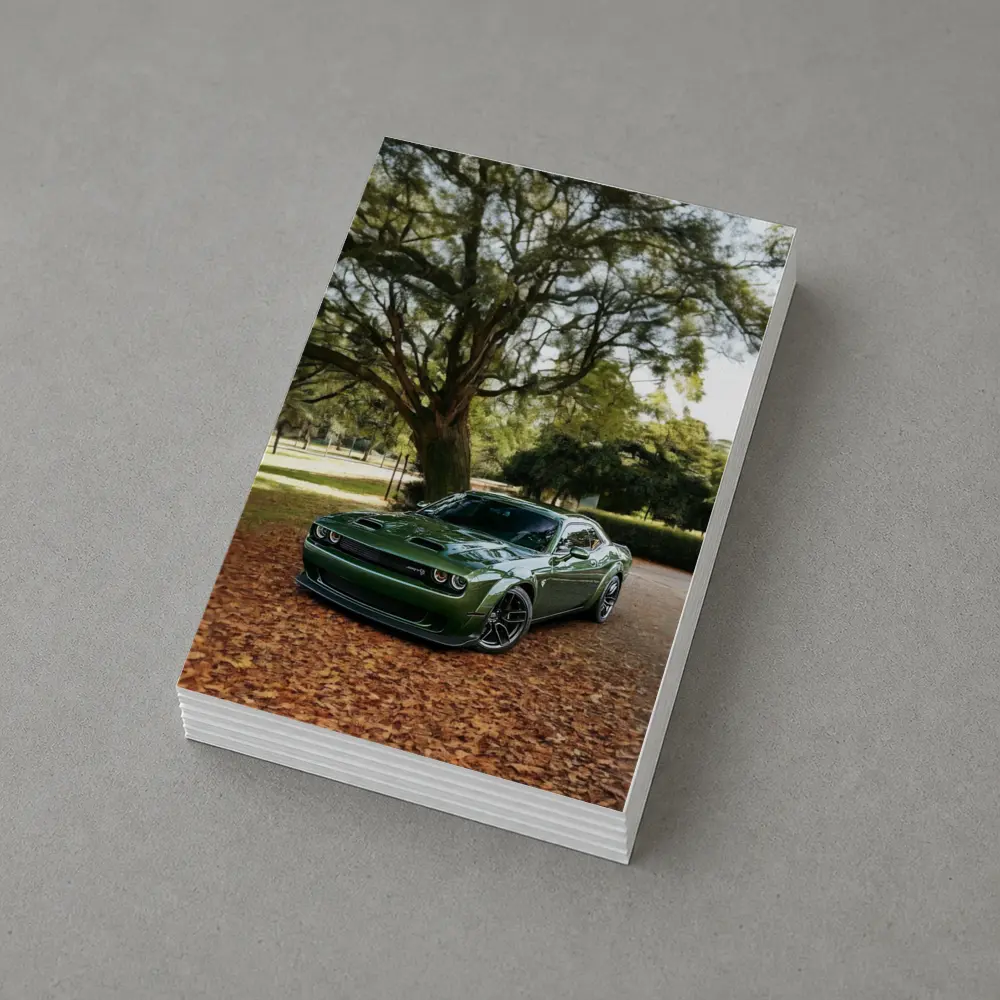 Dodge Challenger Green Muscle Car Autumn Park – Postcards