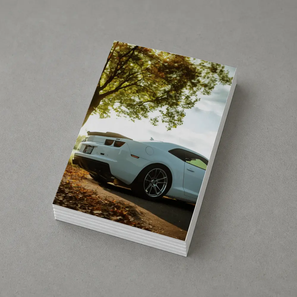 White Chevrolet Camaro Autumn Tree Background – Postcards