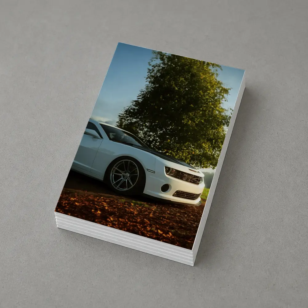 White Chevrolet Camaro Parked Near Green Tree – Postcards