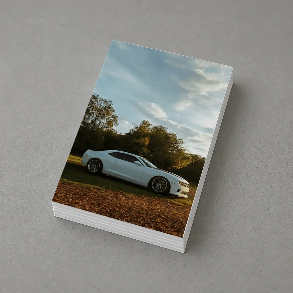 Chevrolet Camaro White Muscle Car Autumn Park – Postcards