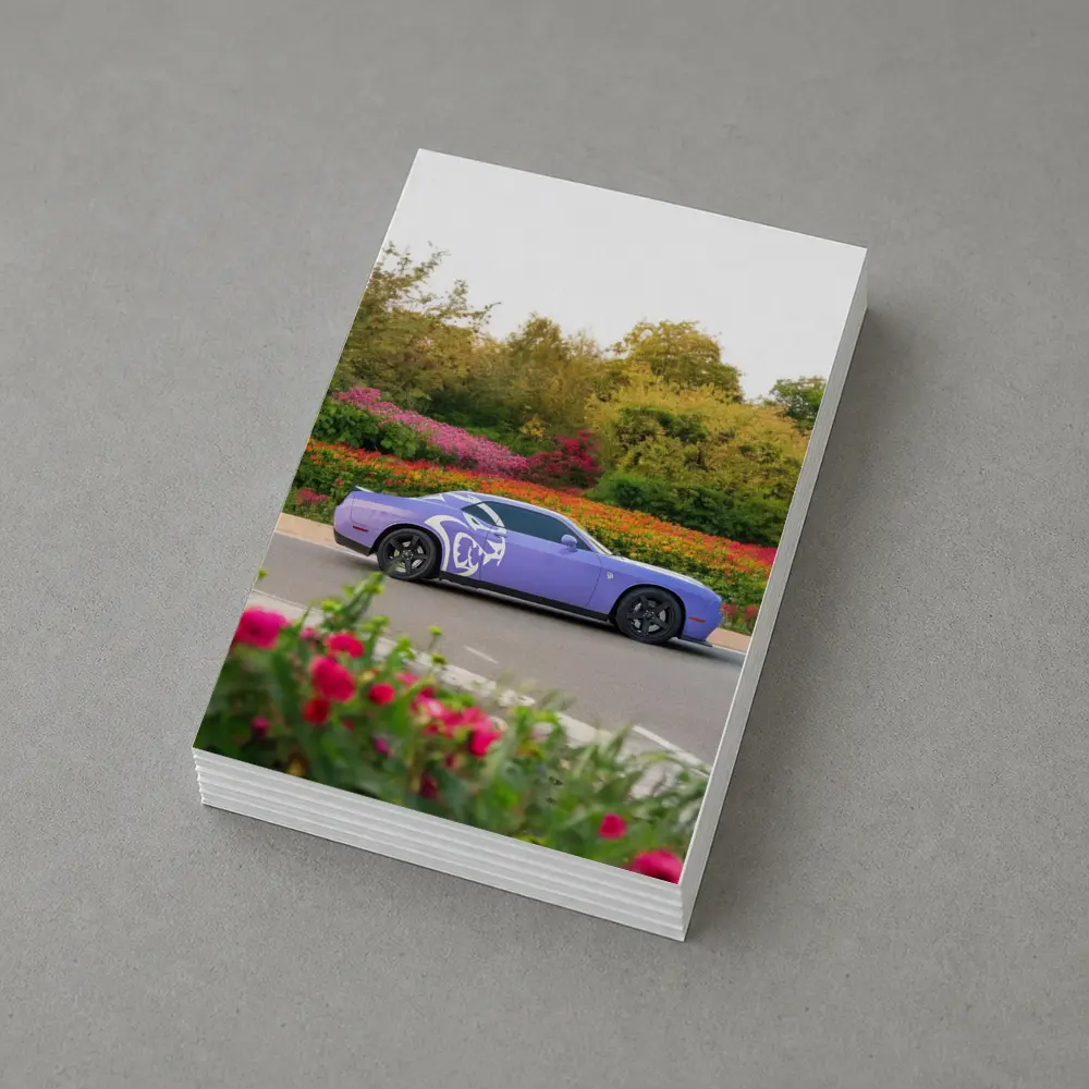 Purple Dodge Challenger Parked Near Flowers – Postcards