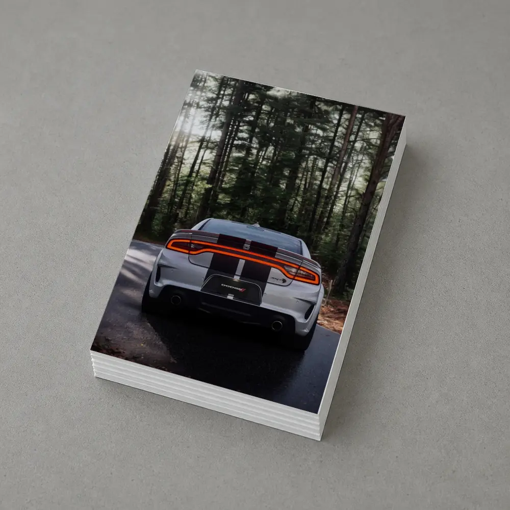 Dodge Charger Rear View Forest Road – Postcards
