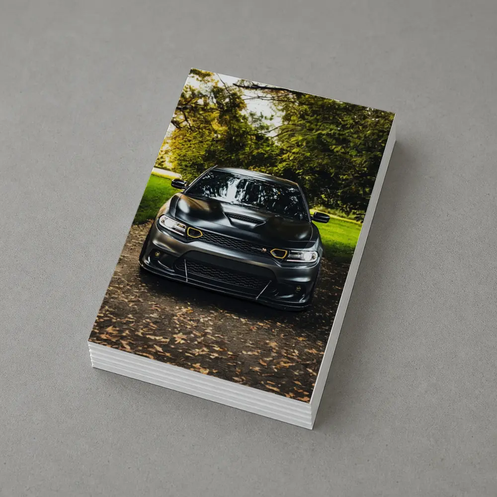 Dodge Charger Matte Black Park Setting – Postcards
