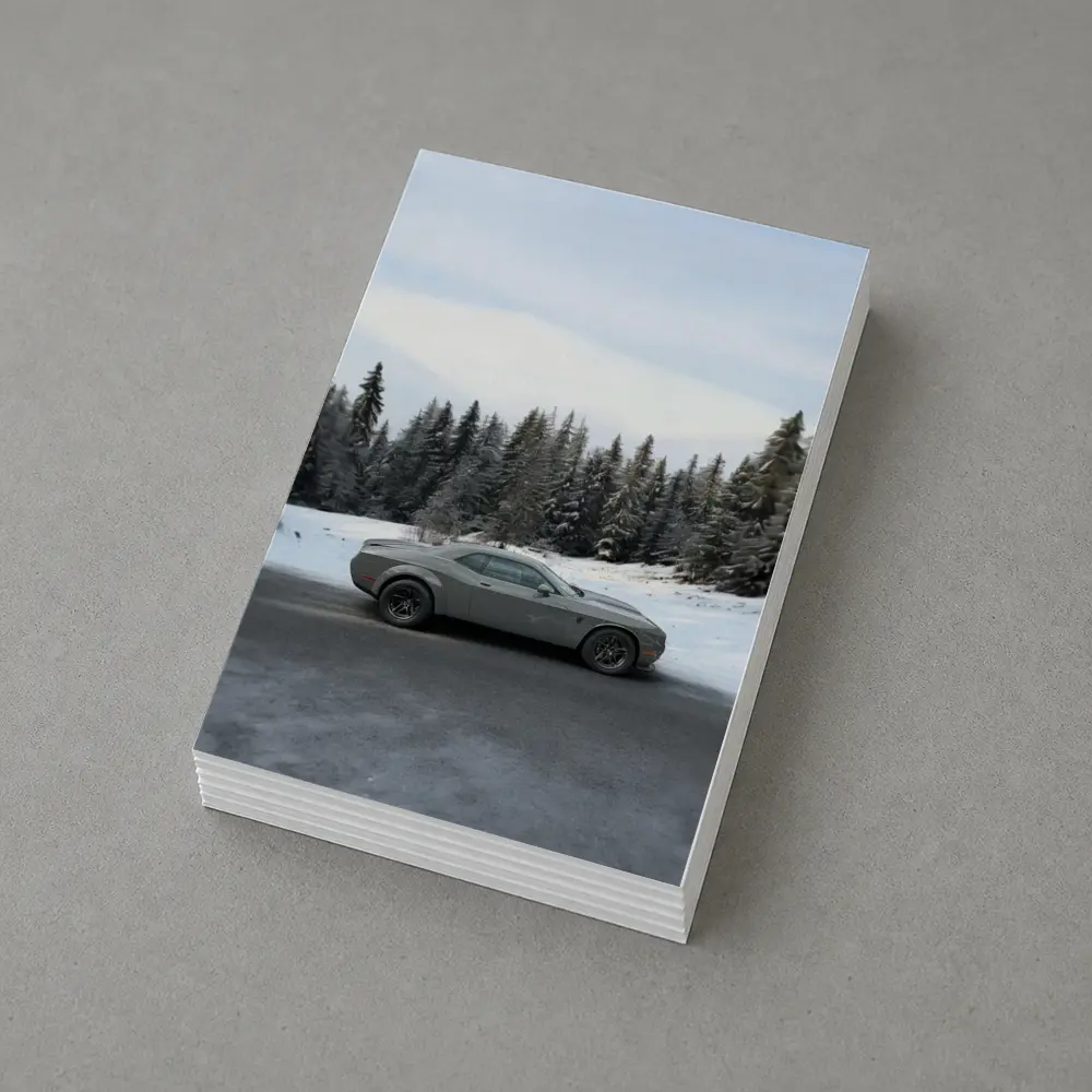 Dodge Challenger Gray Muscle Car Winter Forest – Postcards