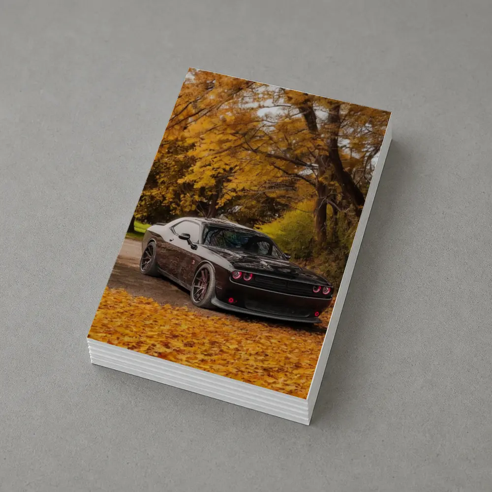 Dodge Challenger Black Muscle Car Autumn Trees – Postcards
