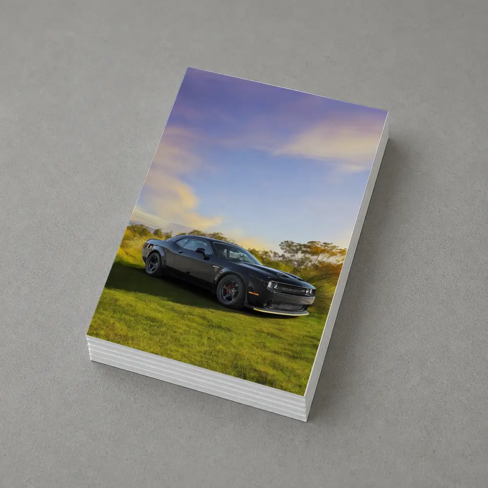Dodge Challenger Black Muscle Car Green Field – Postcards