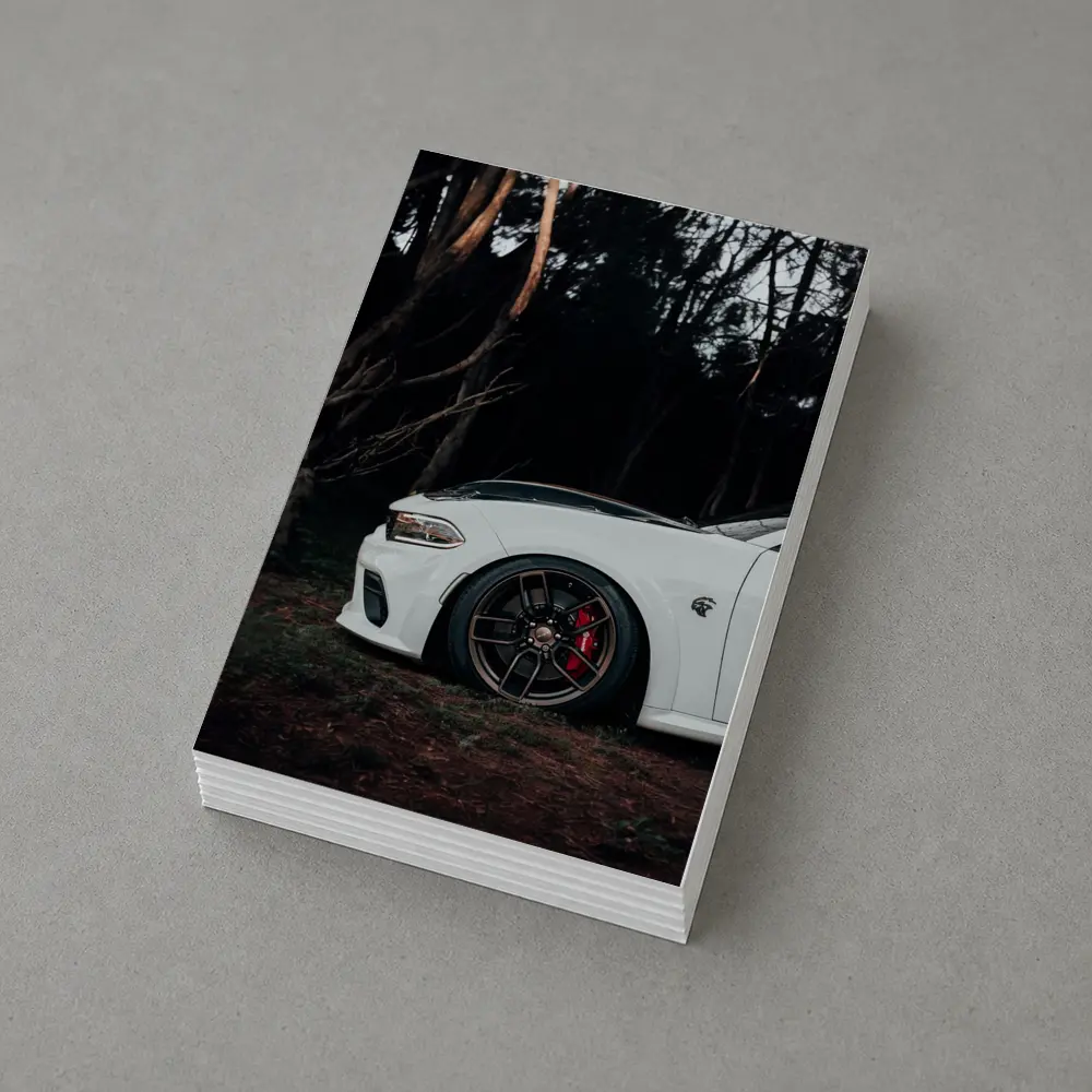 Dodge Charger White Muscle Car Dark Forest – Postcards