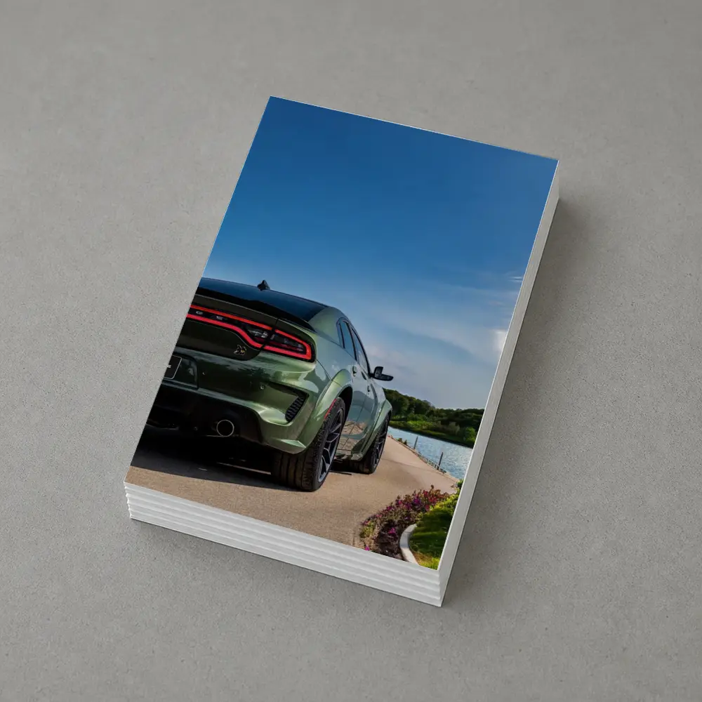 Dodge Charger Green Rear View Lakeside – Postcards