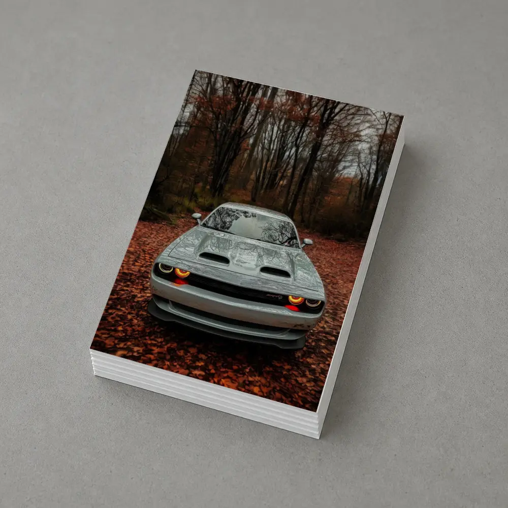 Dodge Challenger Gray Muscle Car Autumn Forest – Postcards