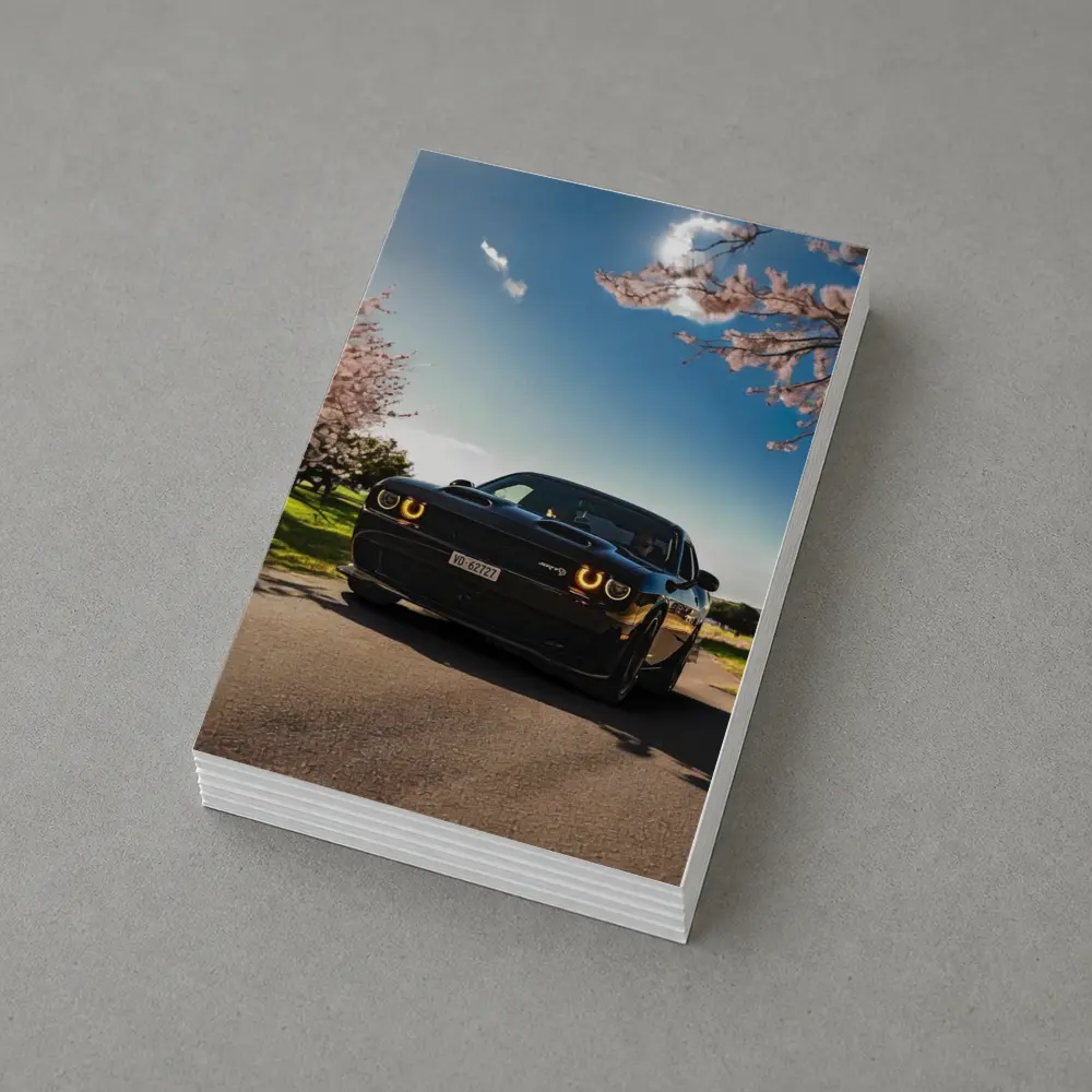 Black Dodge Challenger SRT Cherry Blossom Setting – Postcards