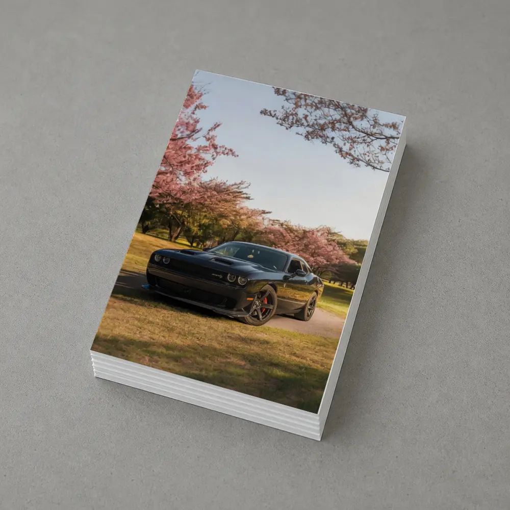 Dodge Challenger SRT Black Cherry Blossom Park – Postcards