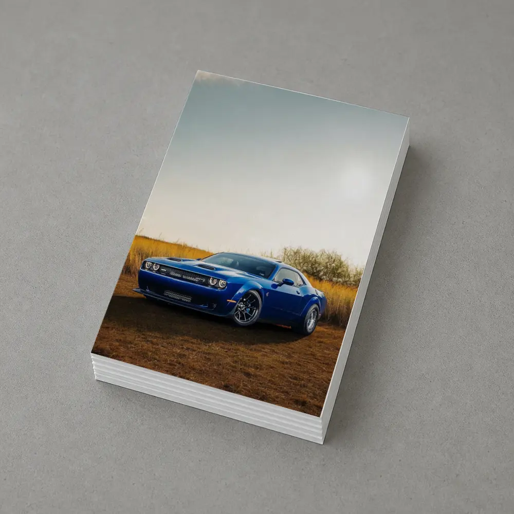 Dodge Challenger Blue Muscle Car Golden Field – Postcards