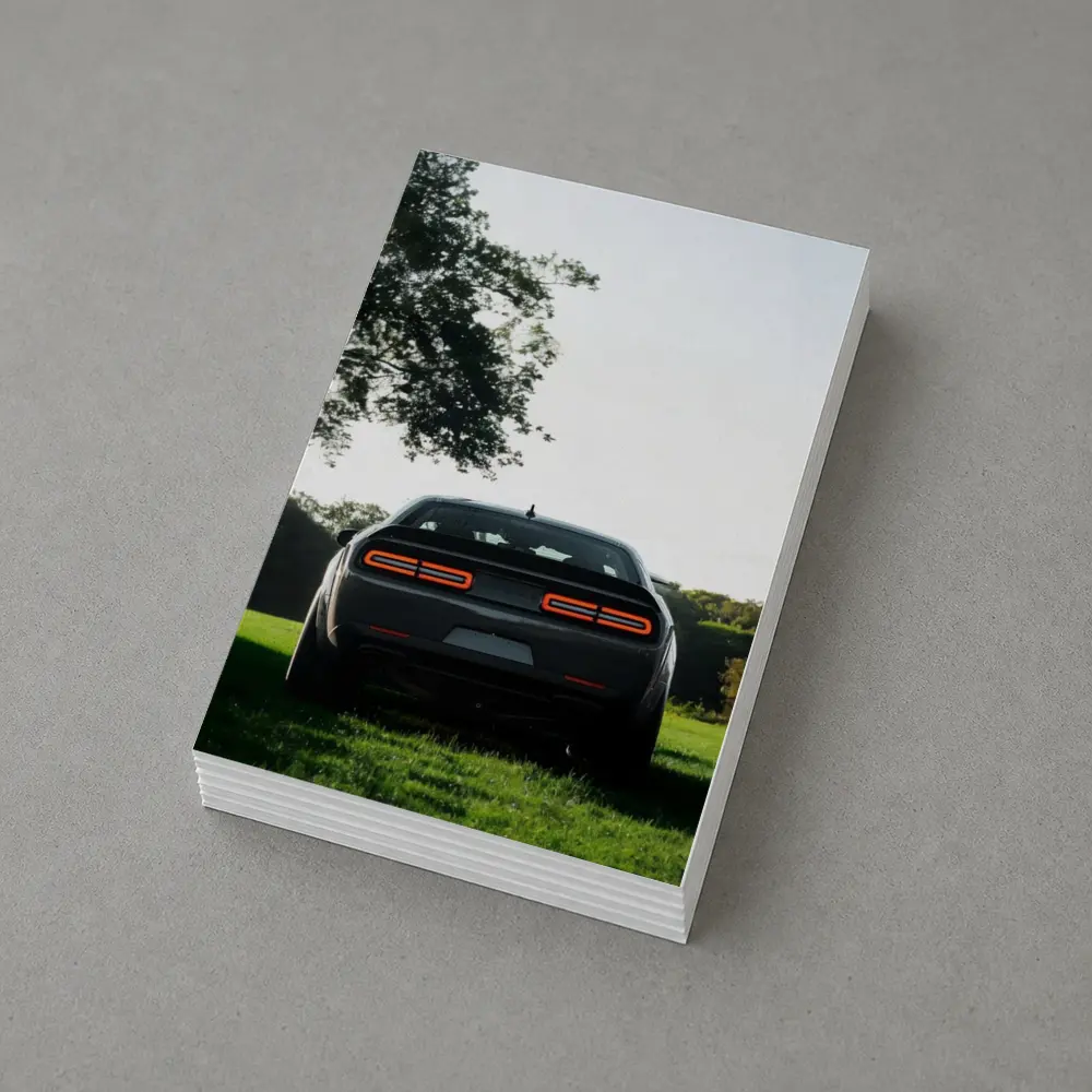 Dodge Challenger Rear View Green Field – Postcards