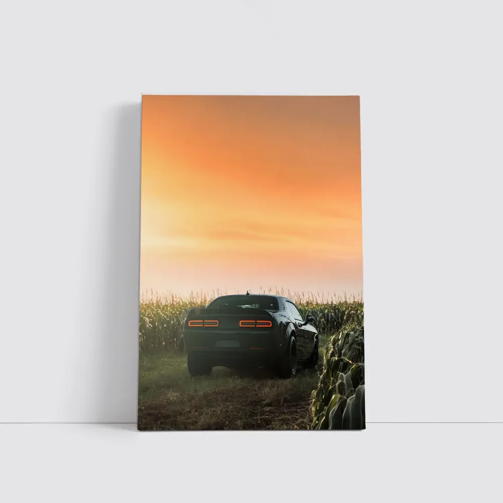 Dodge Challenger Black Muscle Car Cornfield Sunset – Wall Art