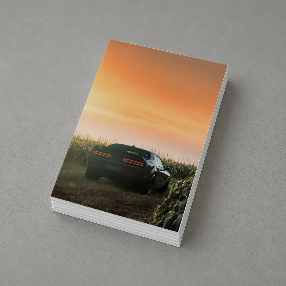 Dodge Challenger Black Muscle Car Cornfield Sunset – Postcards