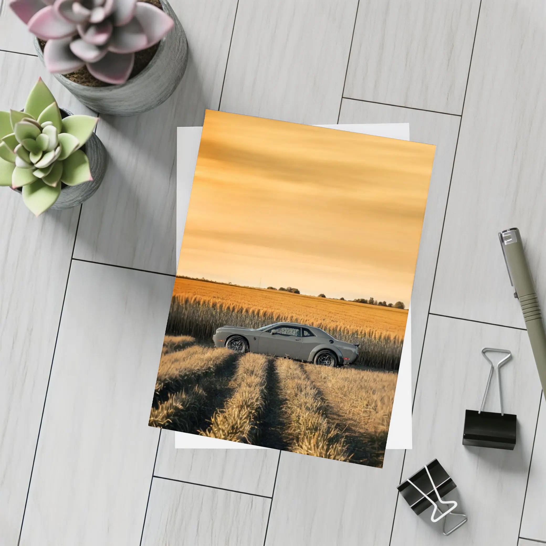 Dodge Challenger Parked in Golden Wheat Field – Postcards