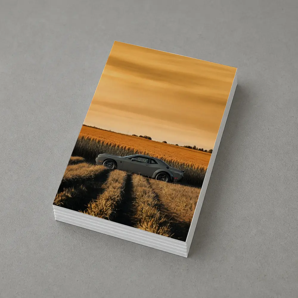 Dodge Challenger Parked in Golden Wheat Field – Postcards
