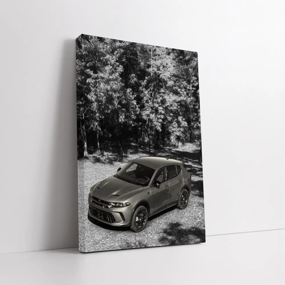 Dodge Hornet SUV Black White Forest