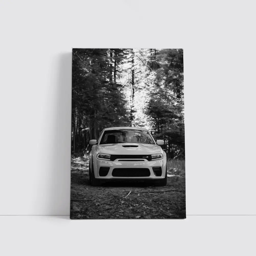 Dodge Charger Front View Forest Black White – Wall Art