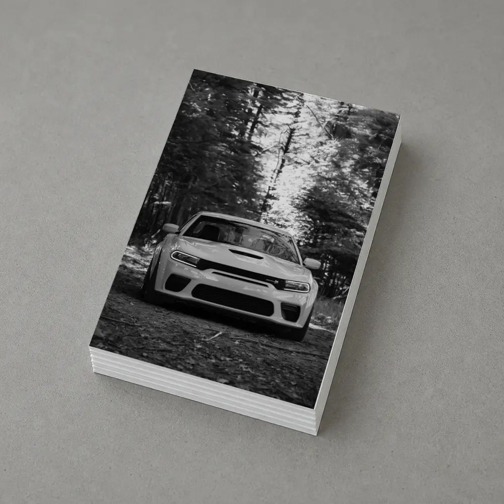 Dodge Charger Front View Forest Black White – Postcards