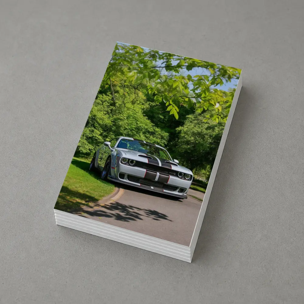 Dodge Challenger Silver Stripes Green Park – Postcards