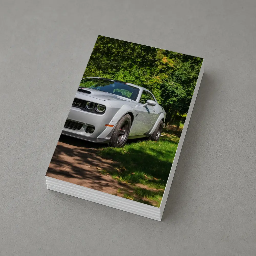 Dodge Challenger SRT Silver Muscle Car Green Park – Postcards