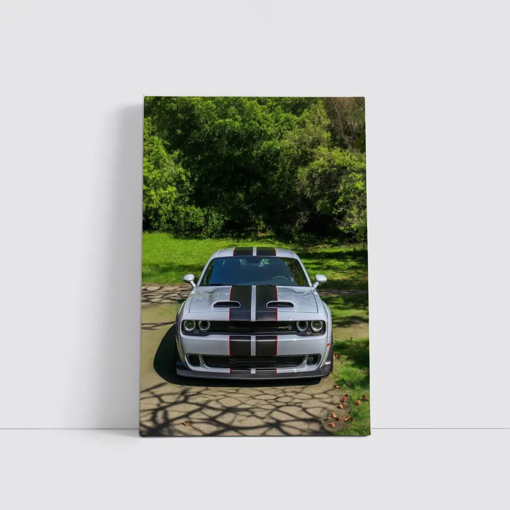 Dodge Challenger Widebody Silver Racing Stripes Park – Wall Art
