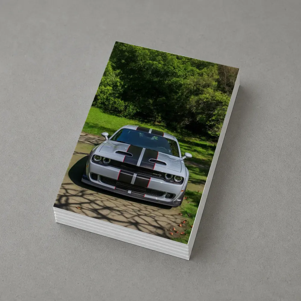 Dodge Challenger Widebody Silver Racing Stripes Park – Postcards