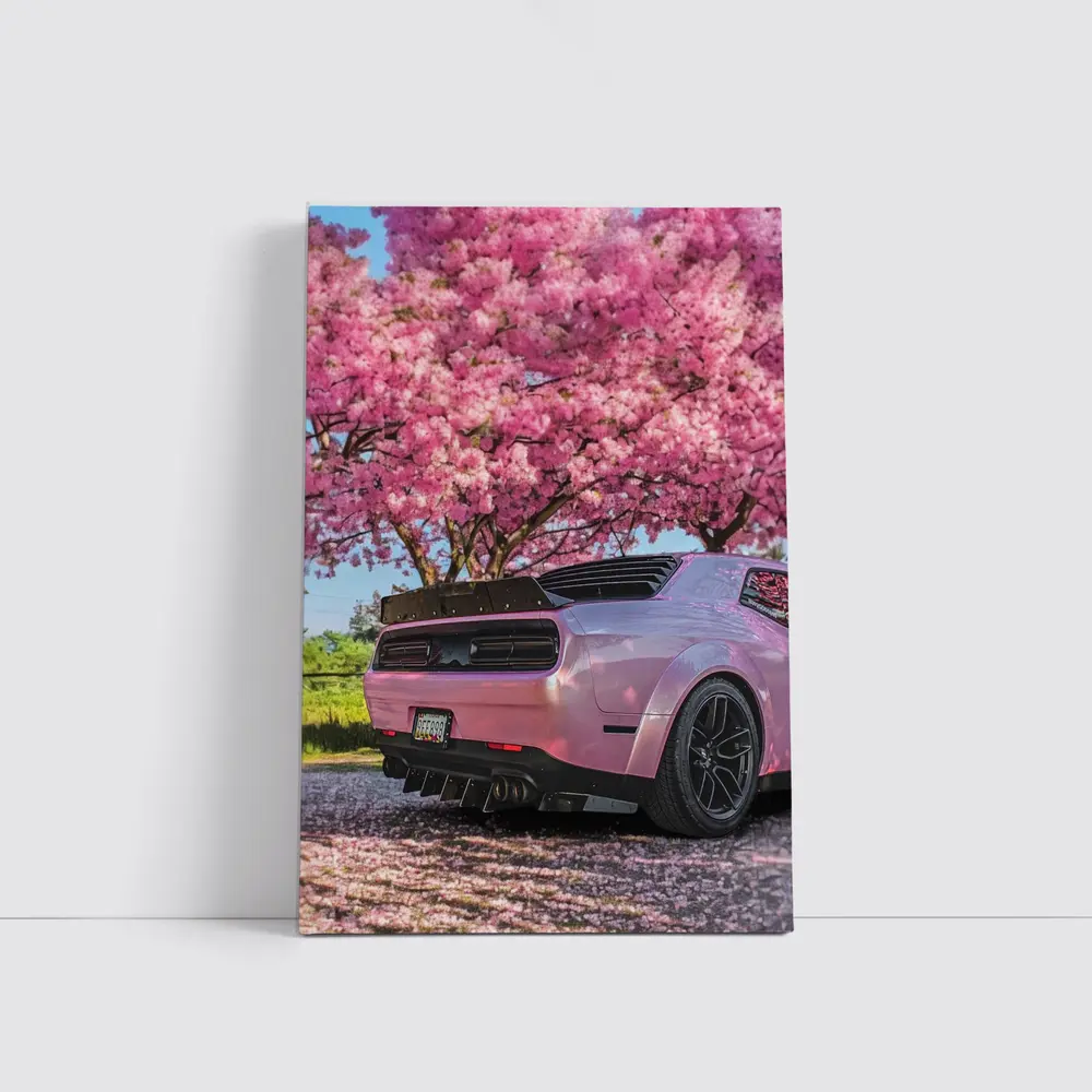 Pink Dodge Challenger Under Blooming Sakura Tree – Wall Art