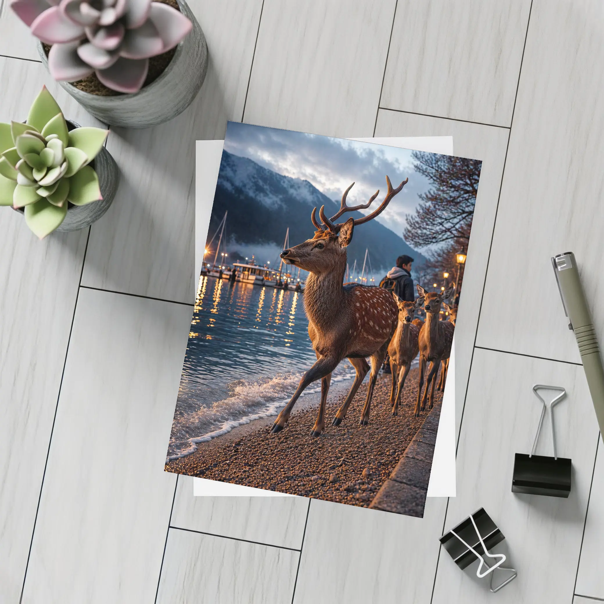 Deer Stag Walking Along Harbor At Dusk – Postcards