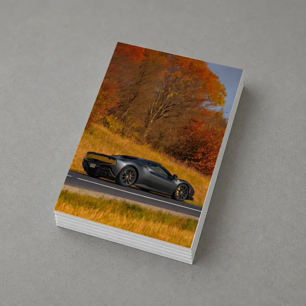 Ferrari 296 GTB Matte Gray Autumn Road – Postcards
