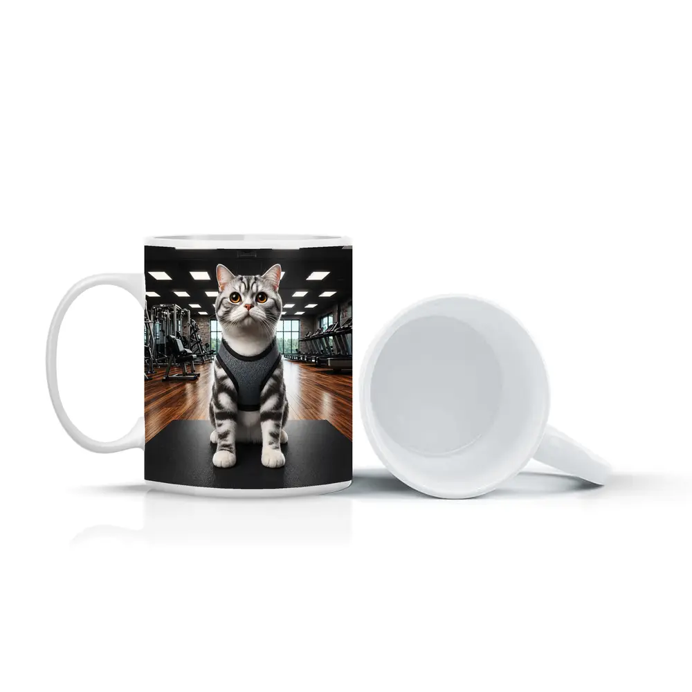 American Shorthair Cat Wearing Harness In Gym – Mugs