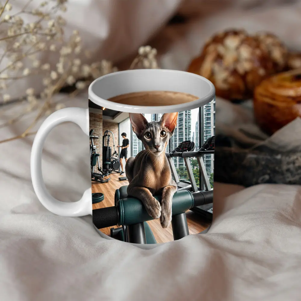 Oriental Shorthair Cat Relaxing in Gym – Mugs