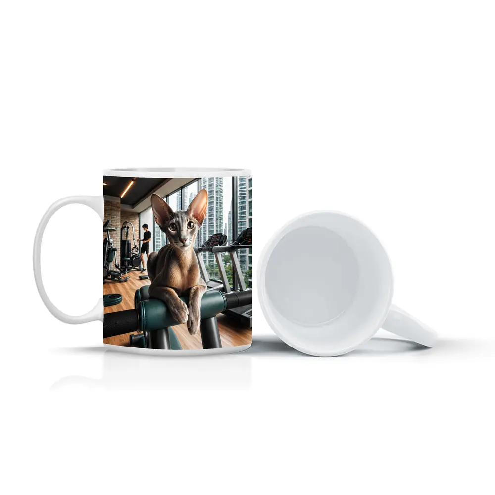 Oriental Shorthair Cat Relaxing in Gym – Mugs