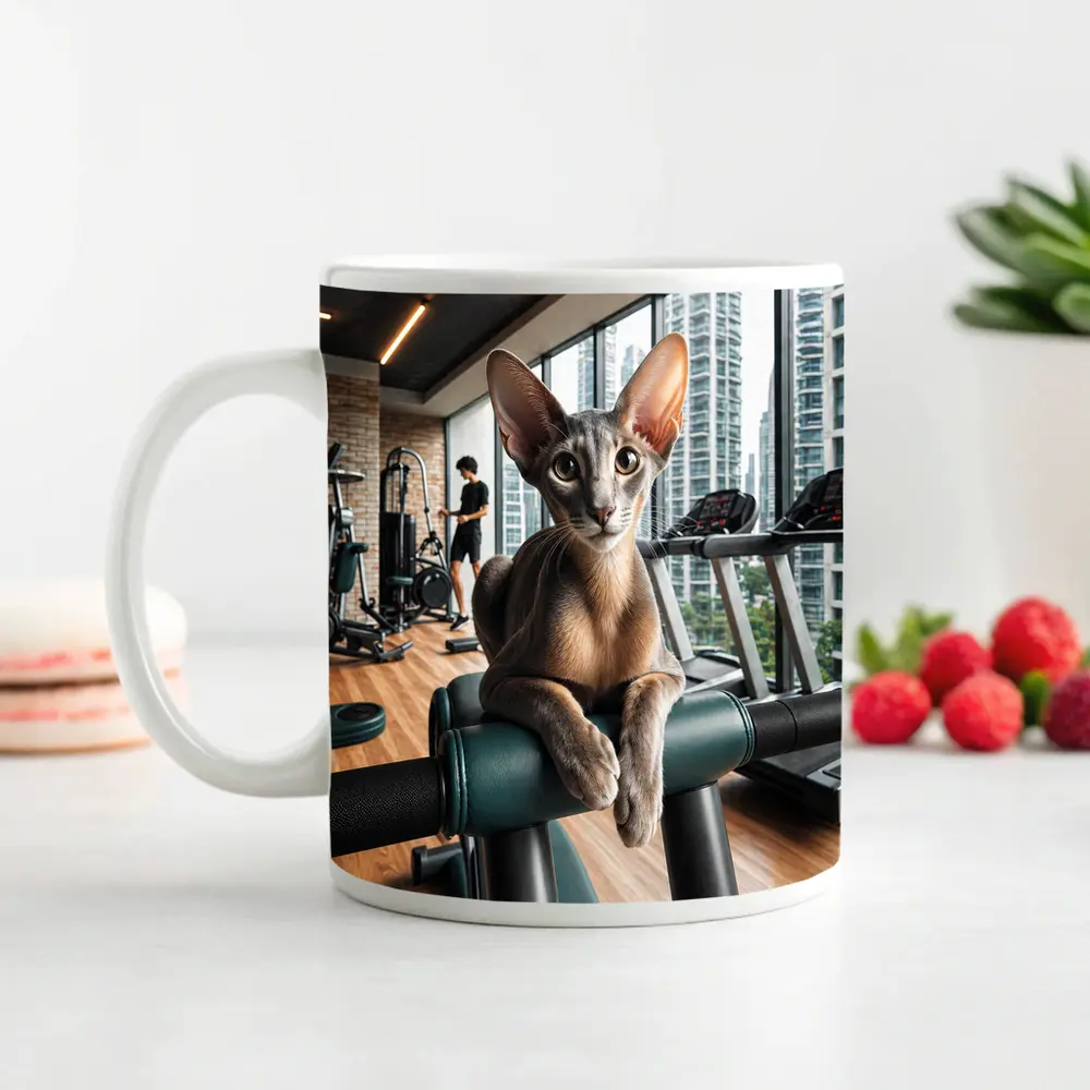 Oriental Shorthair Cat Relaxing in Gym – Mugs