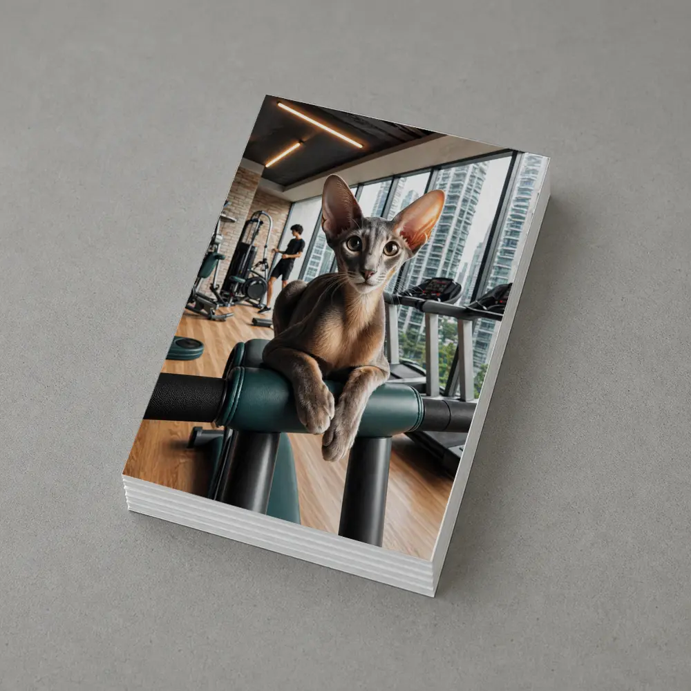 Oriental Shorthair Cat Relaxing in Gym – Postcards