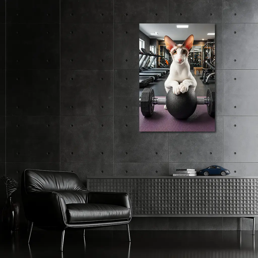 Oriental Shorthair Cat Lifting Weights Gym – Wall Art
