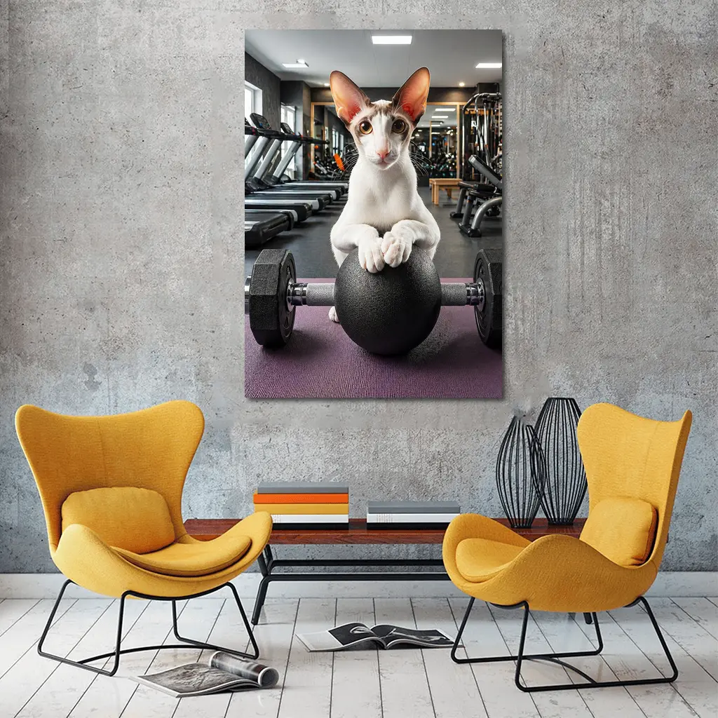 Oriental Shorthair Cat Lifting Weights Gym – Wall Art