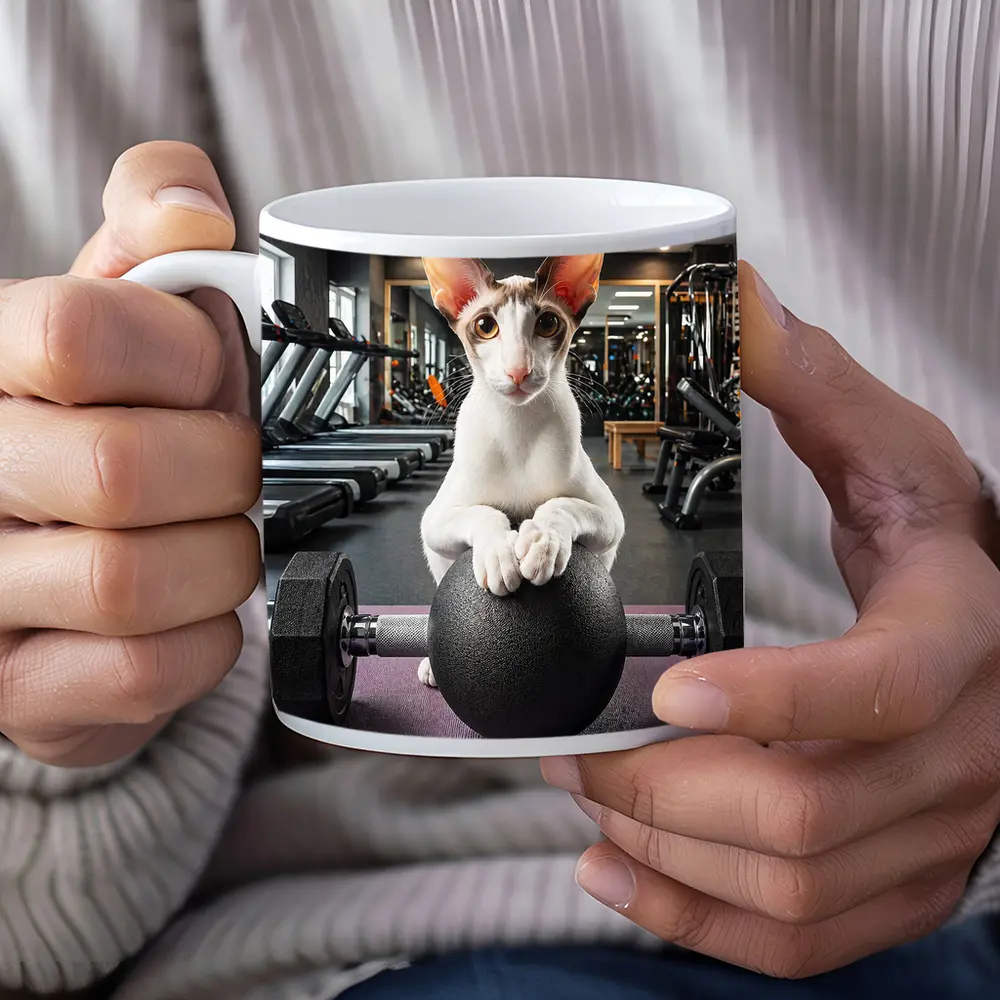 Oriental Shorthair Cat Lifting Weights Gym – Mugs