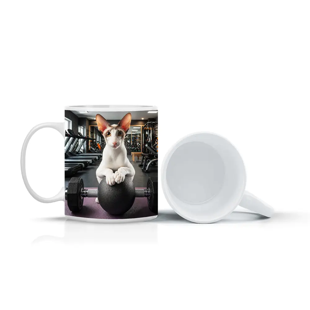 Oriental Shorthair Cat Lifting Weights Gym – Mugs