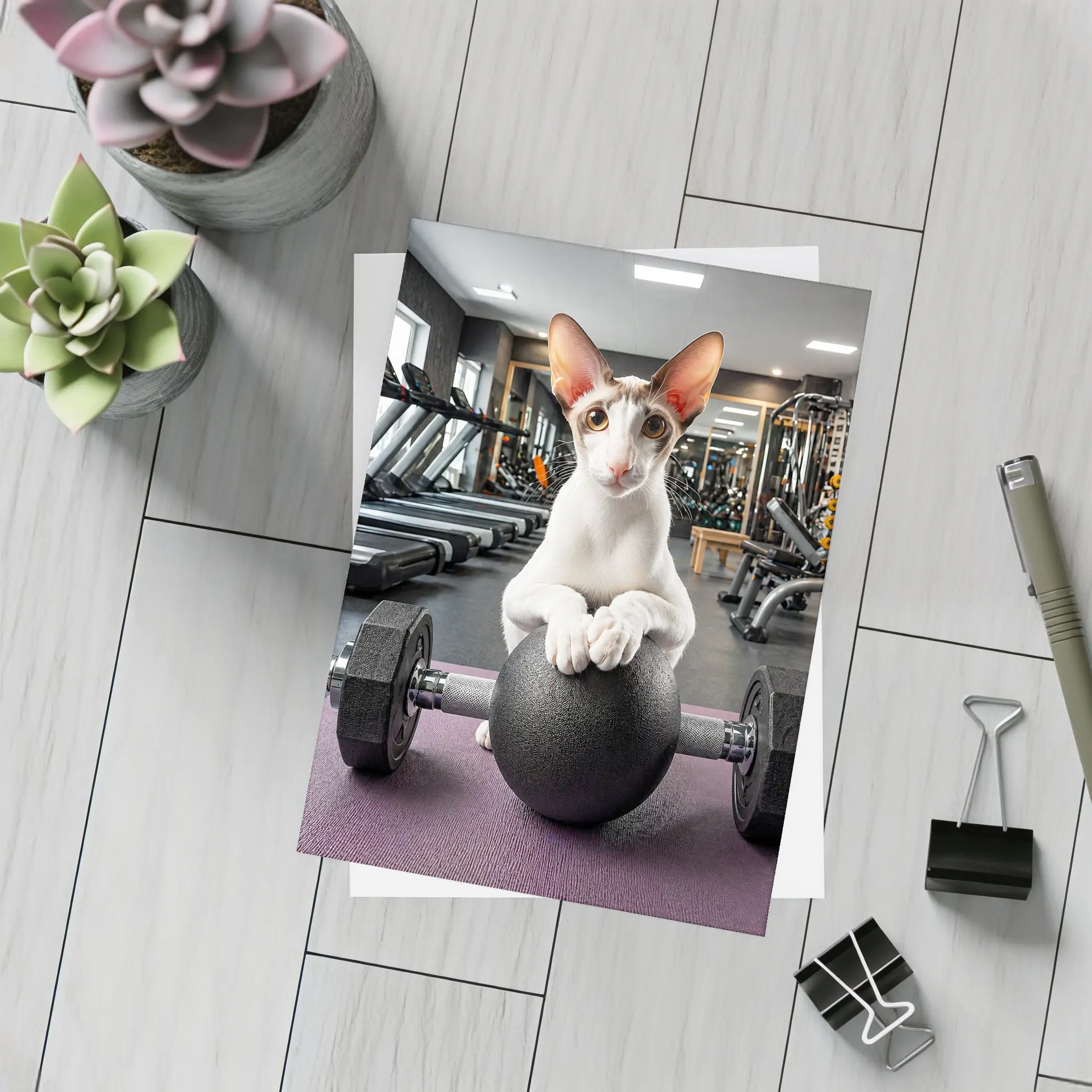 Oriental Shorthair Cat Lifting Weights Gym – Postcards