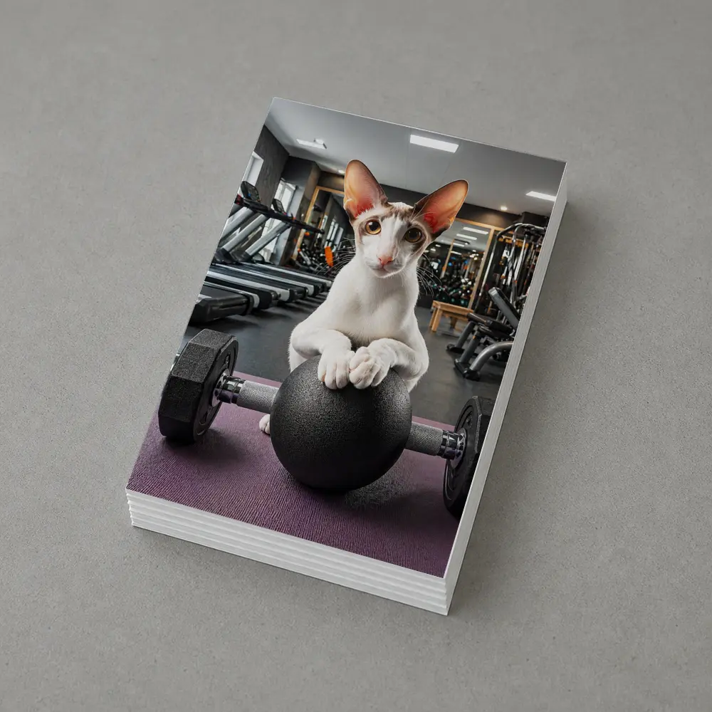 Oriental Shorthair Cat Lifting Weights Gym – Postcards