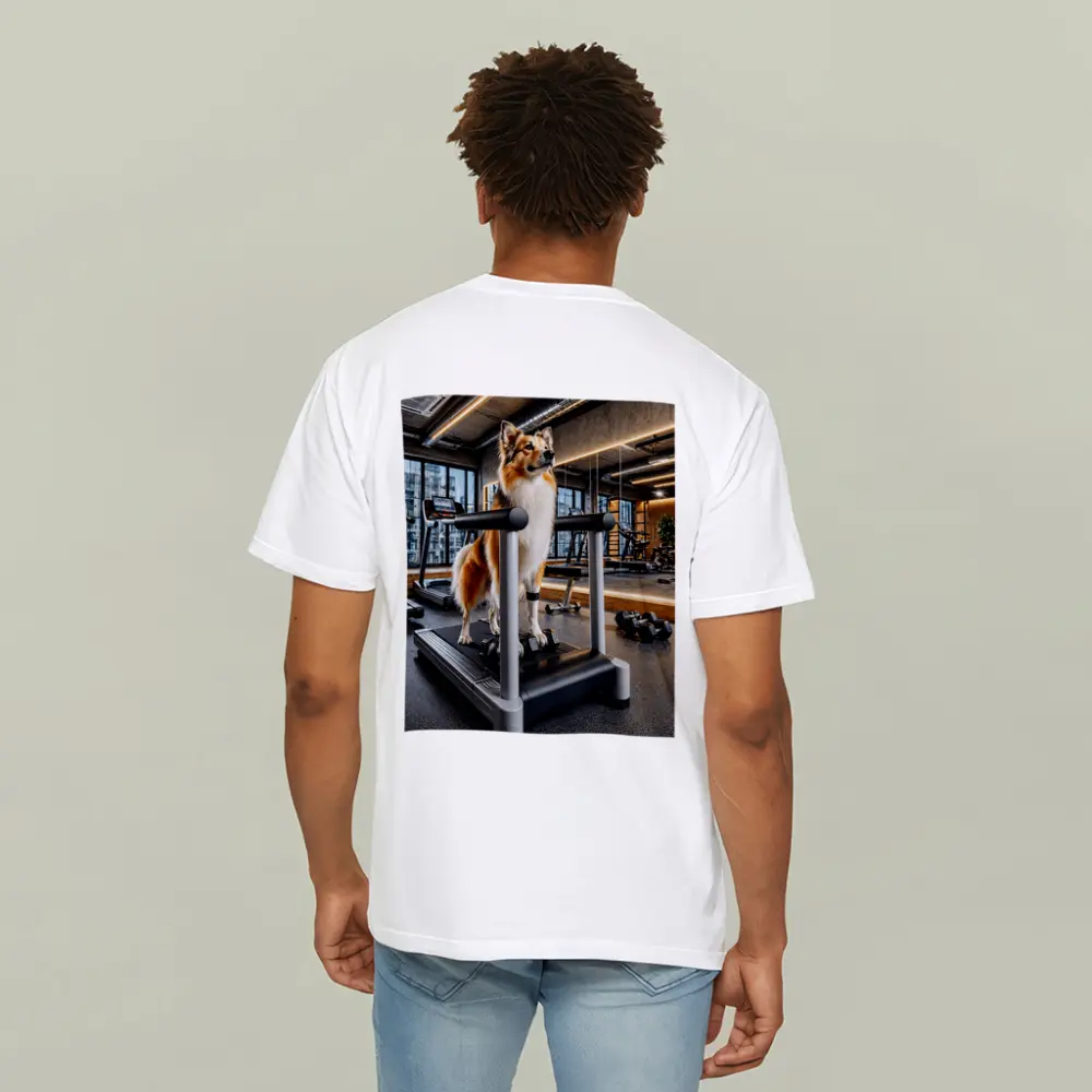 Collie Dog Standing on Gym Treadmill – T-Shirts