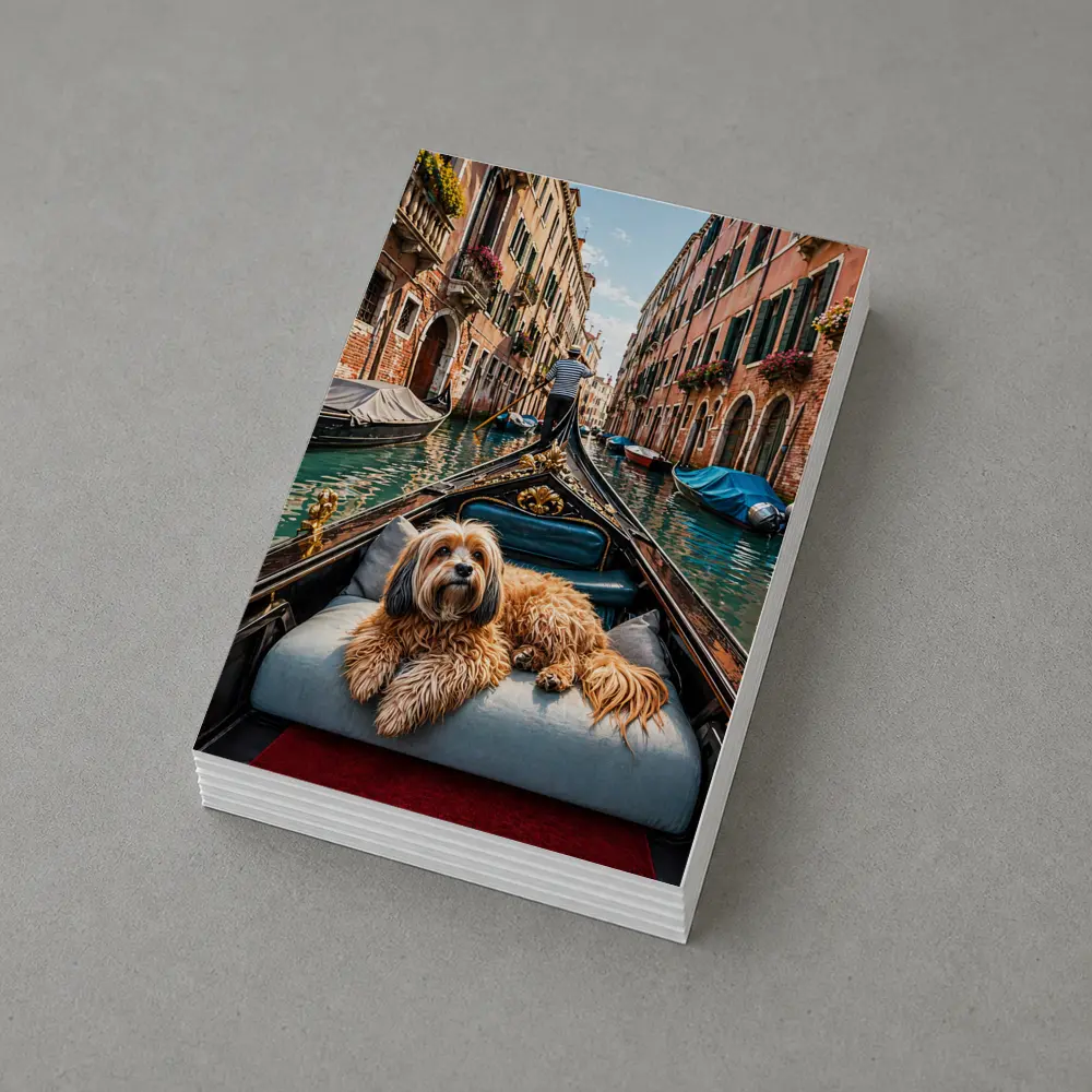 Fluffy Dog Riding Gondola Venice Canal – Postcards