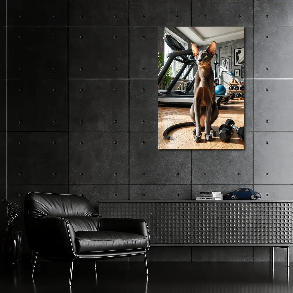 Oriental Shorthair Cat in Home Gym – Wall Art