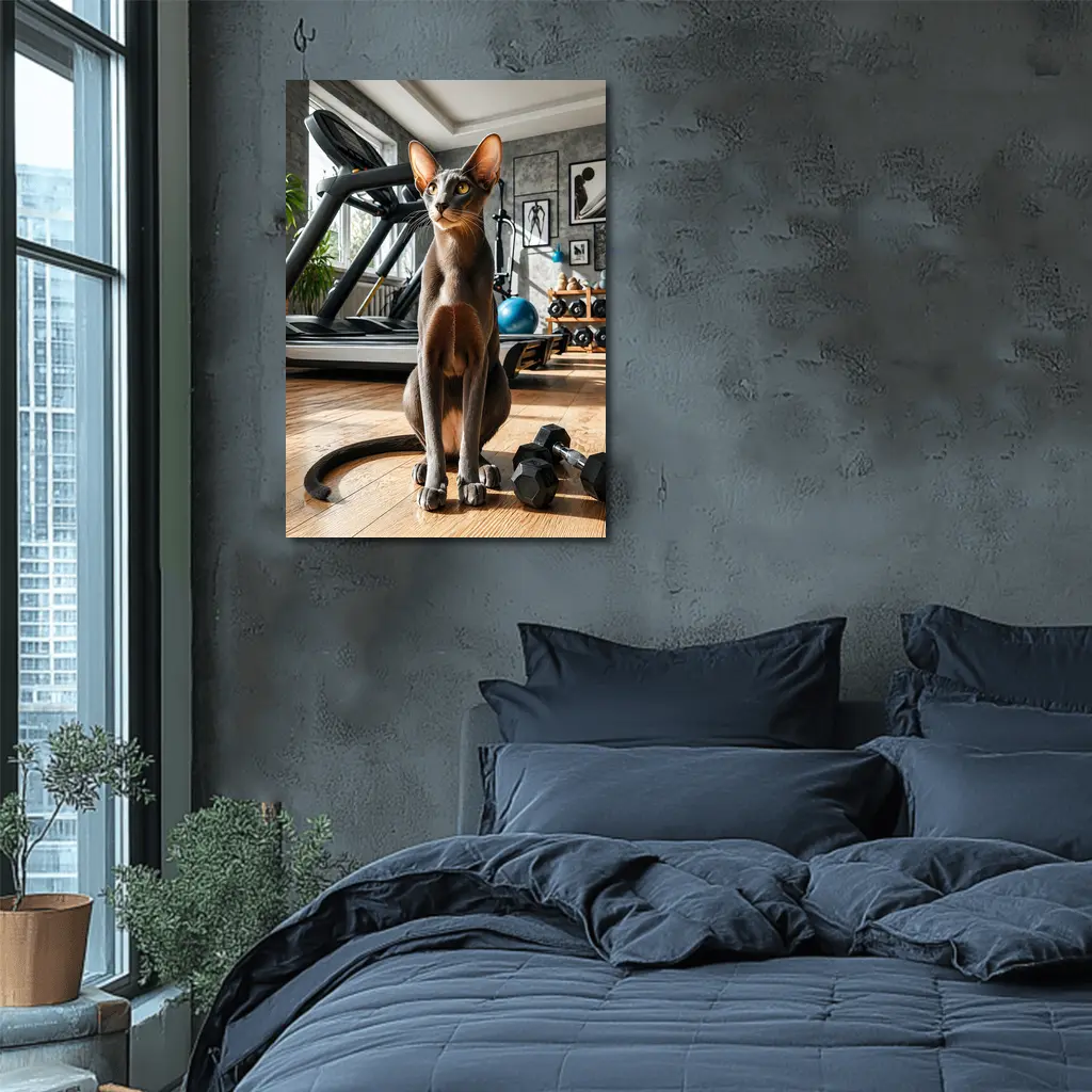 Oriental Shorthair Cat in Home Gym – Wall Art