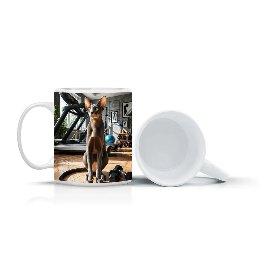 Oriental Shorthair Cat in Home Gym – Mugs